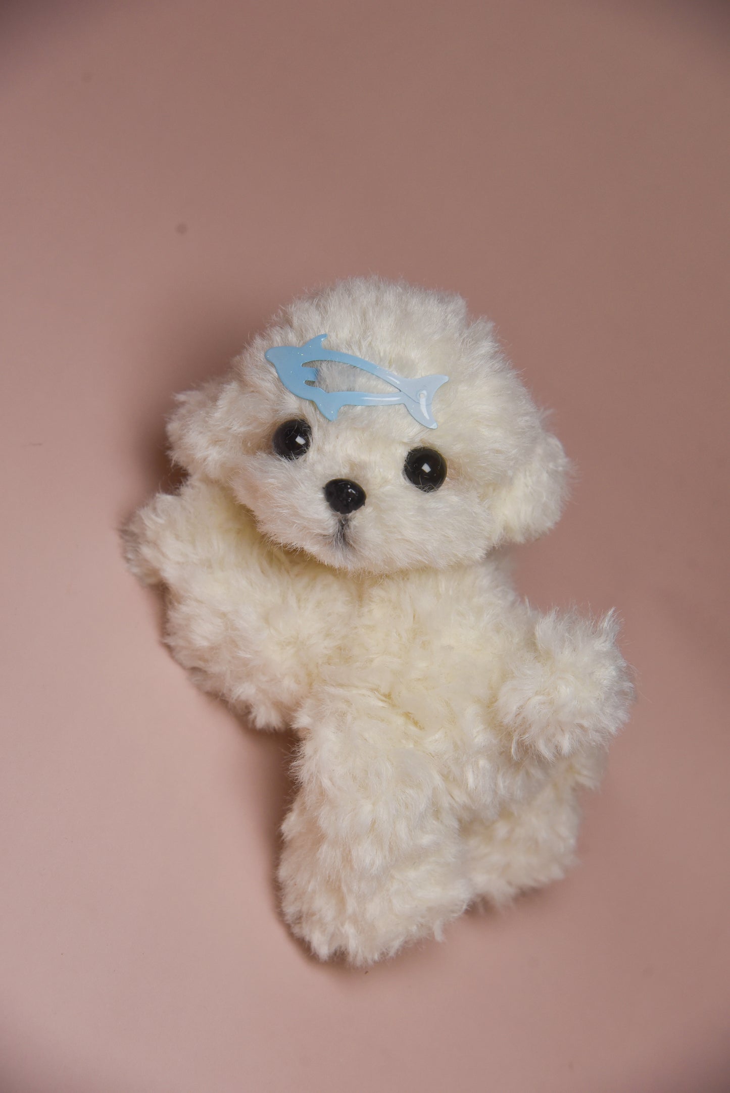 Color your own Joybly Short Hair Poodle