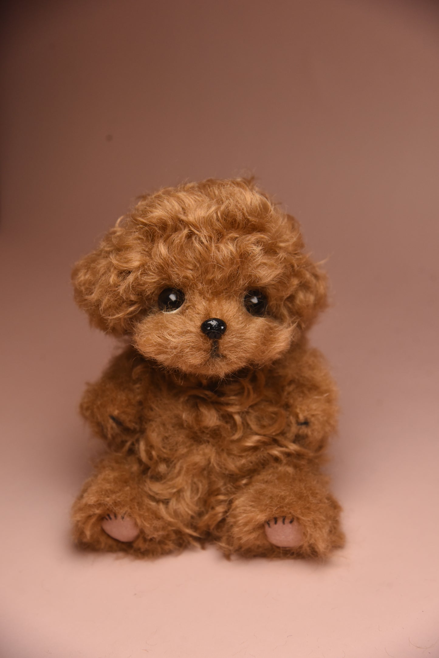 Color Your Own Joybly Long Hair Poodle