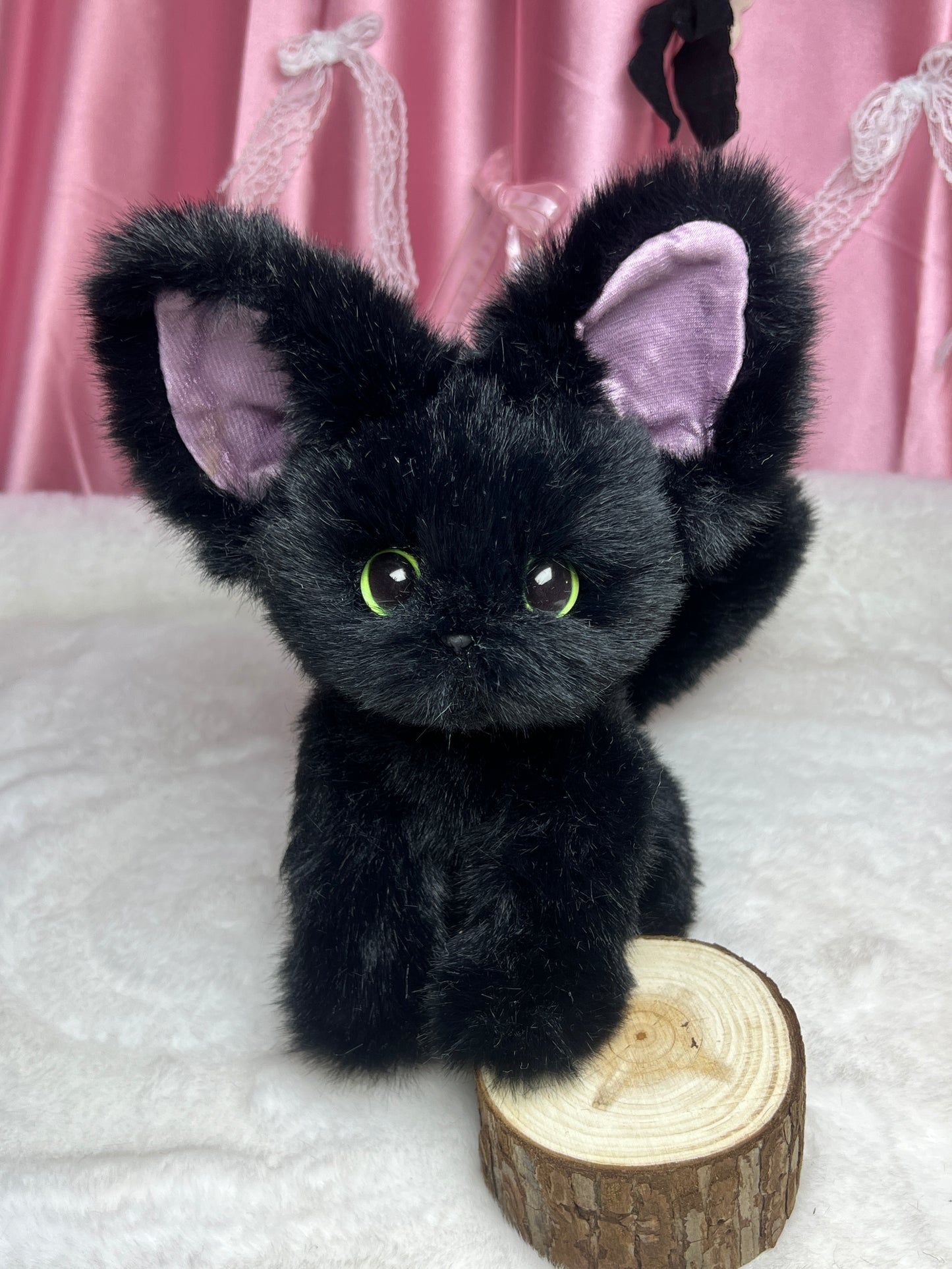 The Whsiper Bombay Cat