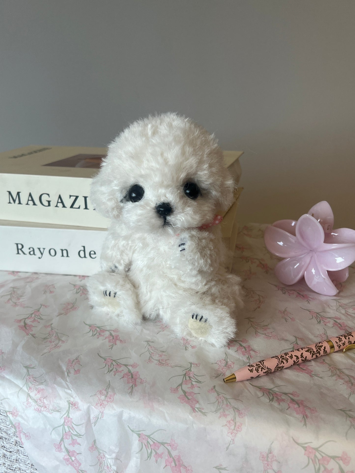 Joybly Cream Puff Bichon Fris