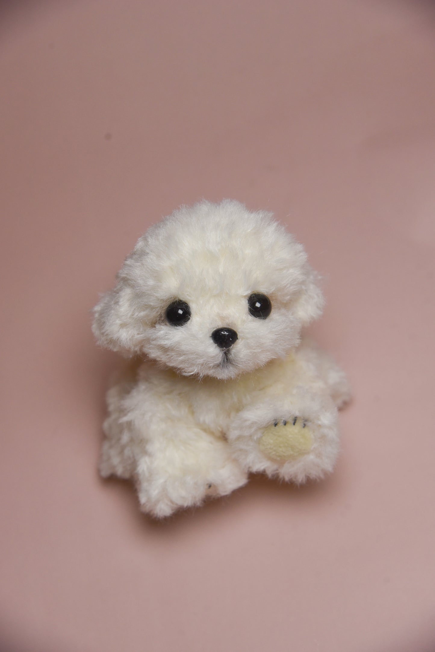 Color your own Joybly Short Hair Poodle