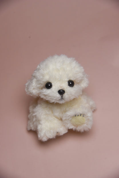 Color your own Joybly Short Hair Poodle