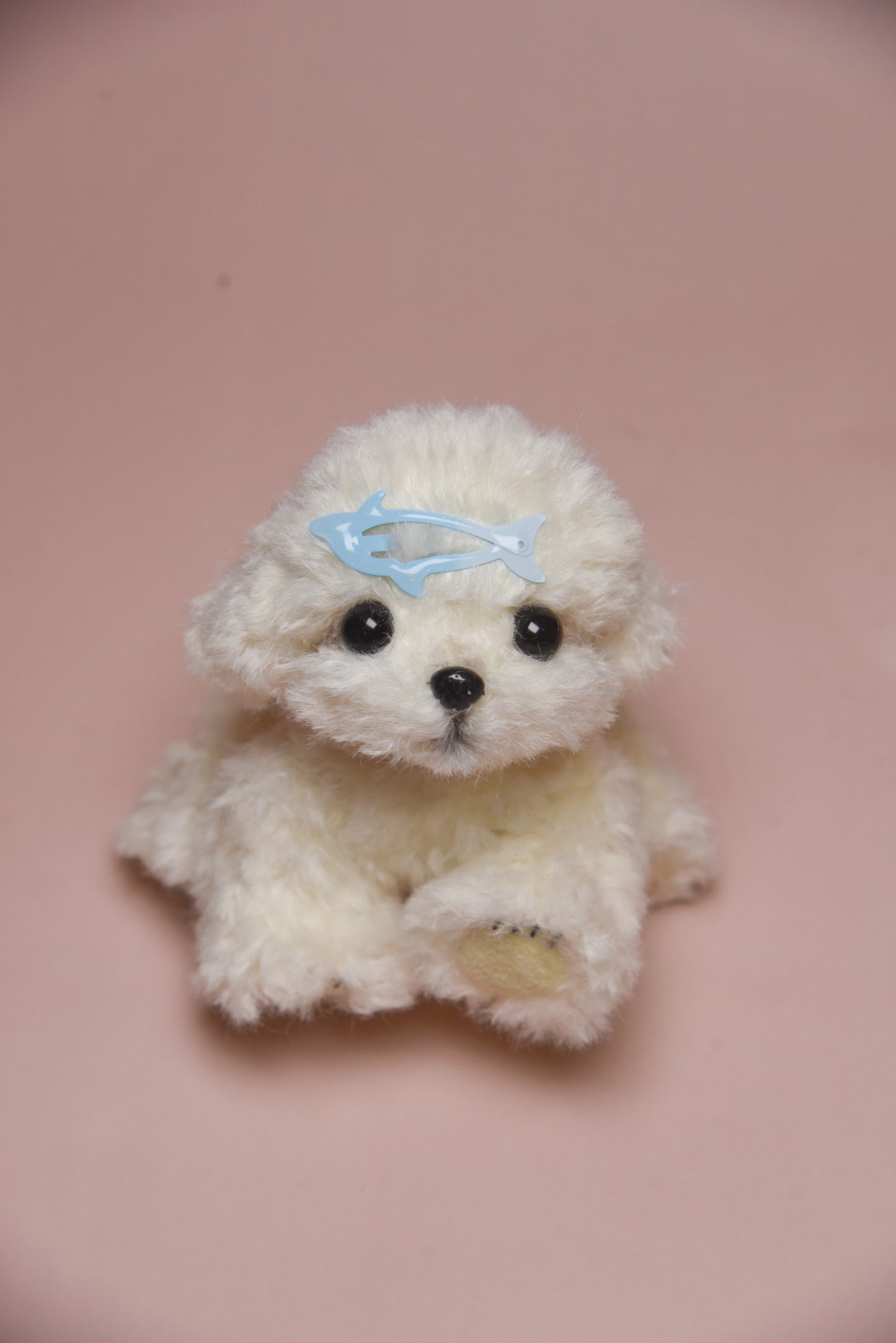 Color your own Joybly Short Hair Poodle