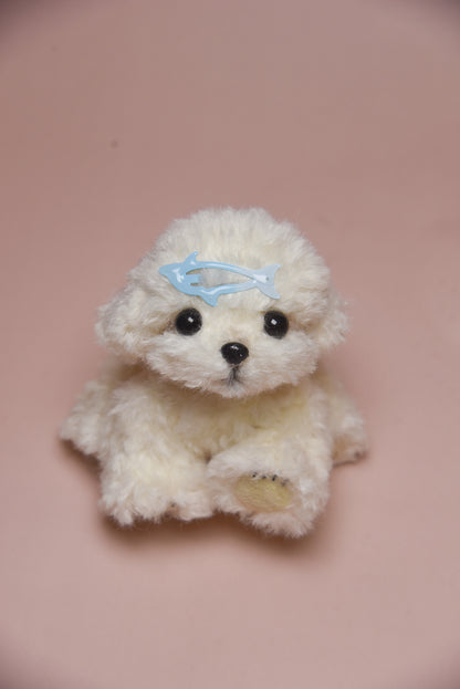 Color your own Joybly Short Hair Poodle