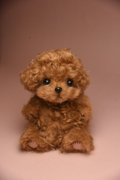 Color Your Own Joybly Long Hair Poodle