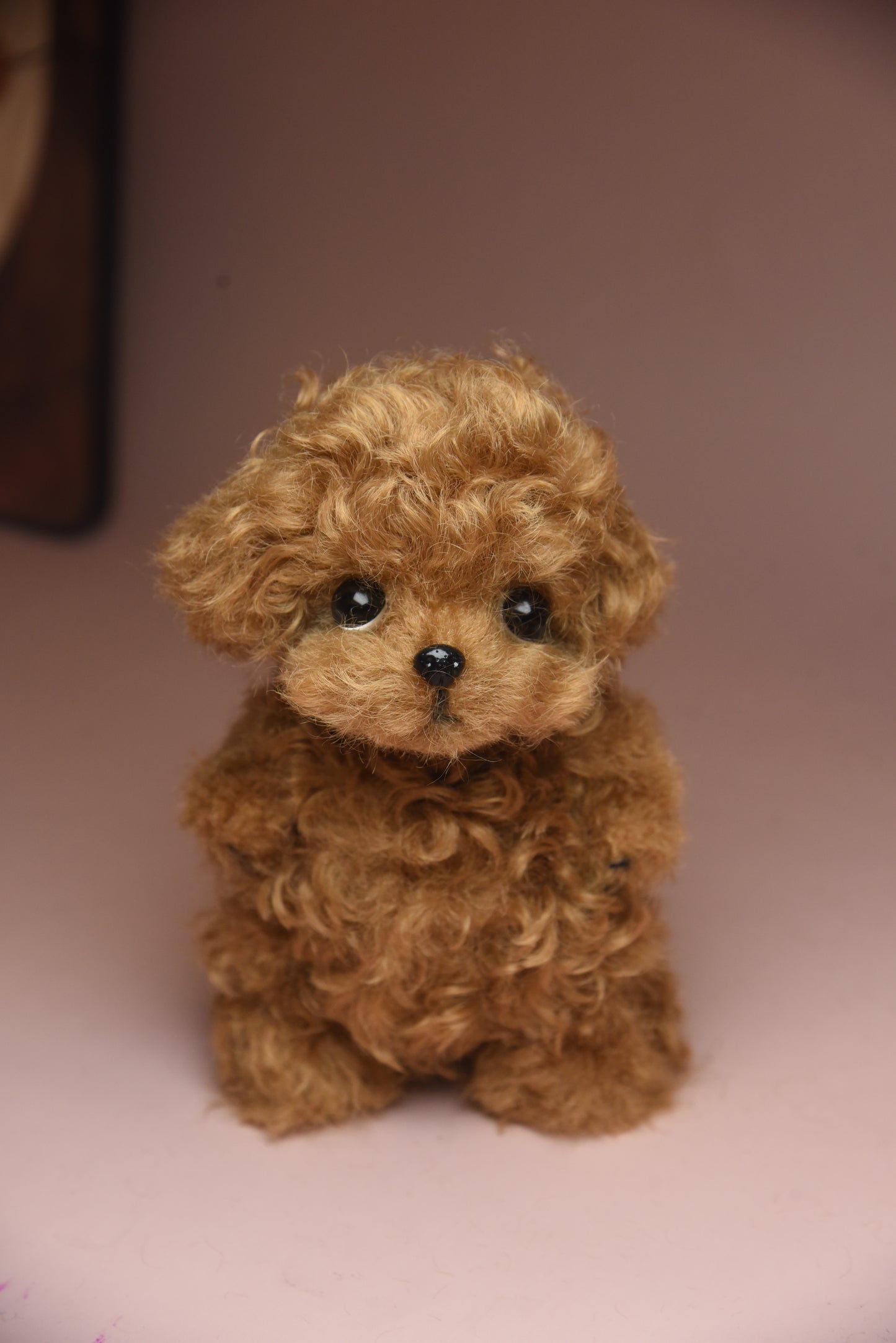 Color Your Own Joybly Long Hair Poodle