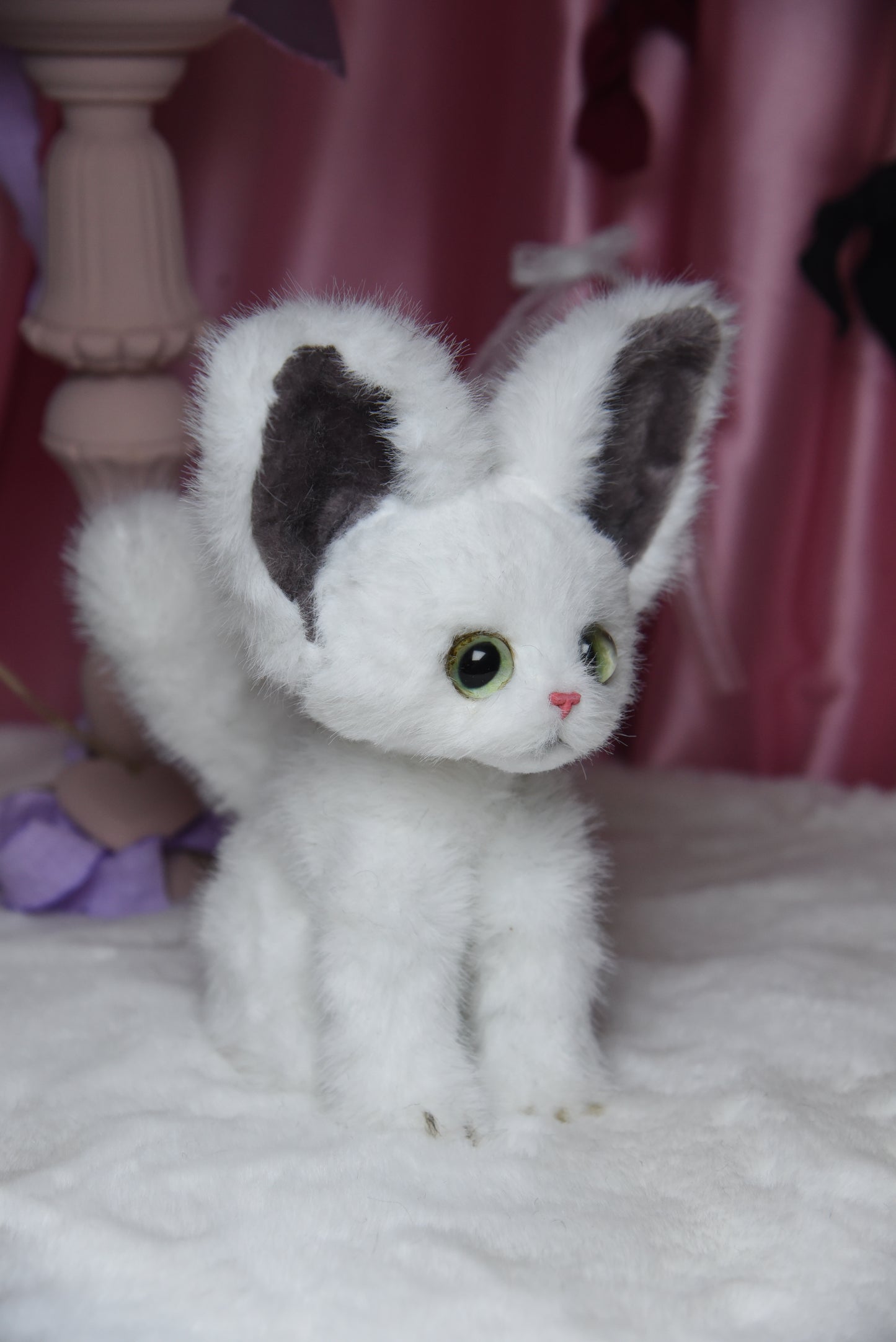 The Whisper Cloud Cat