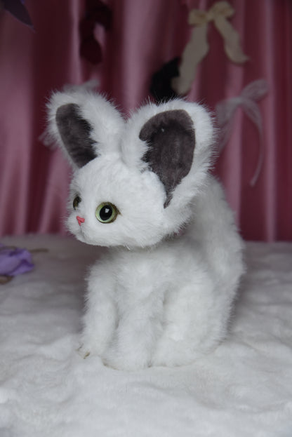 The Whisper Cloud Cat