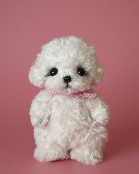 Joybly Cream Puff Bichon Fris