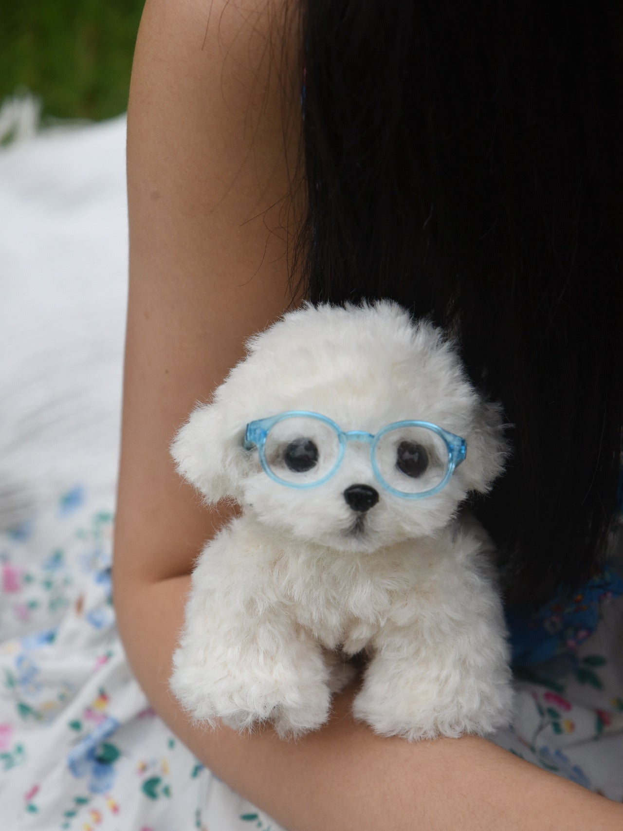 Joybly handmade plush dog – soft collectible stuffed animal