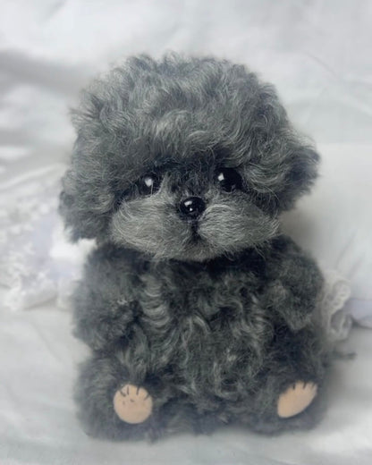 Color Your Own Joybly Long Hair Poodle