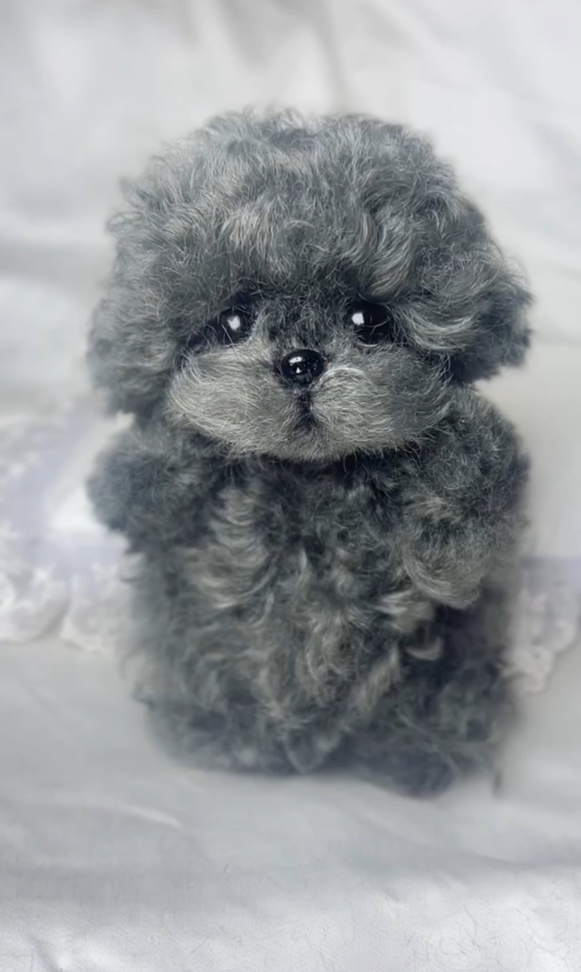 Color Your Own Joybly Long Hair Poodle