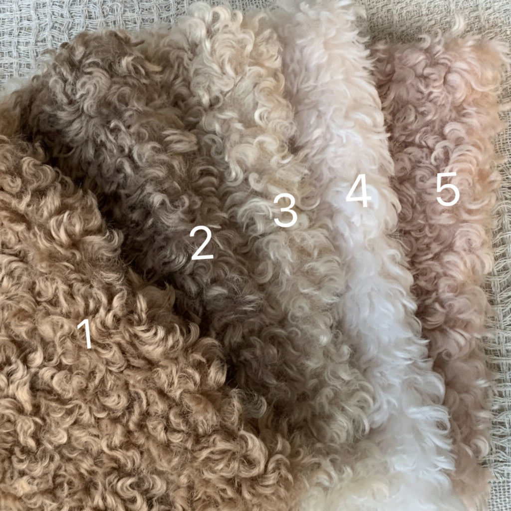 Color Your Own Joybly Long Hair Poodle