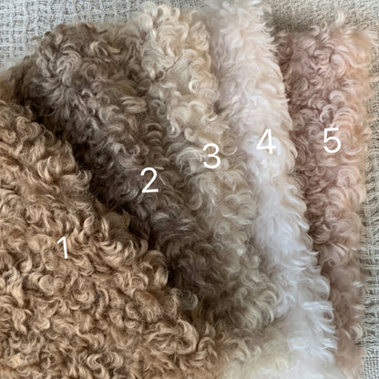 Color Your Own Joybly Long Hair Poodle