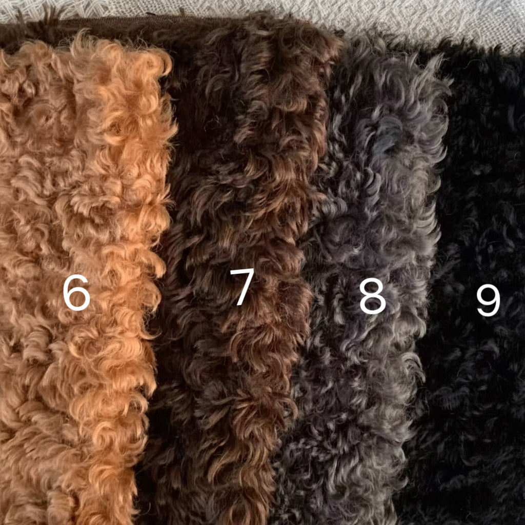 Color Your Own Joybly Long Hair Poodle