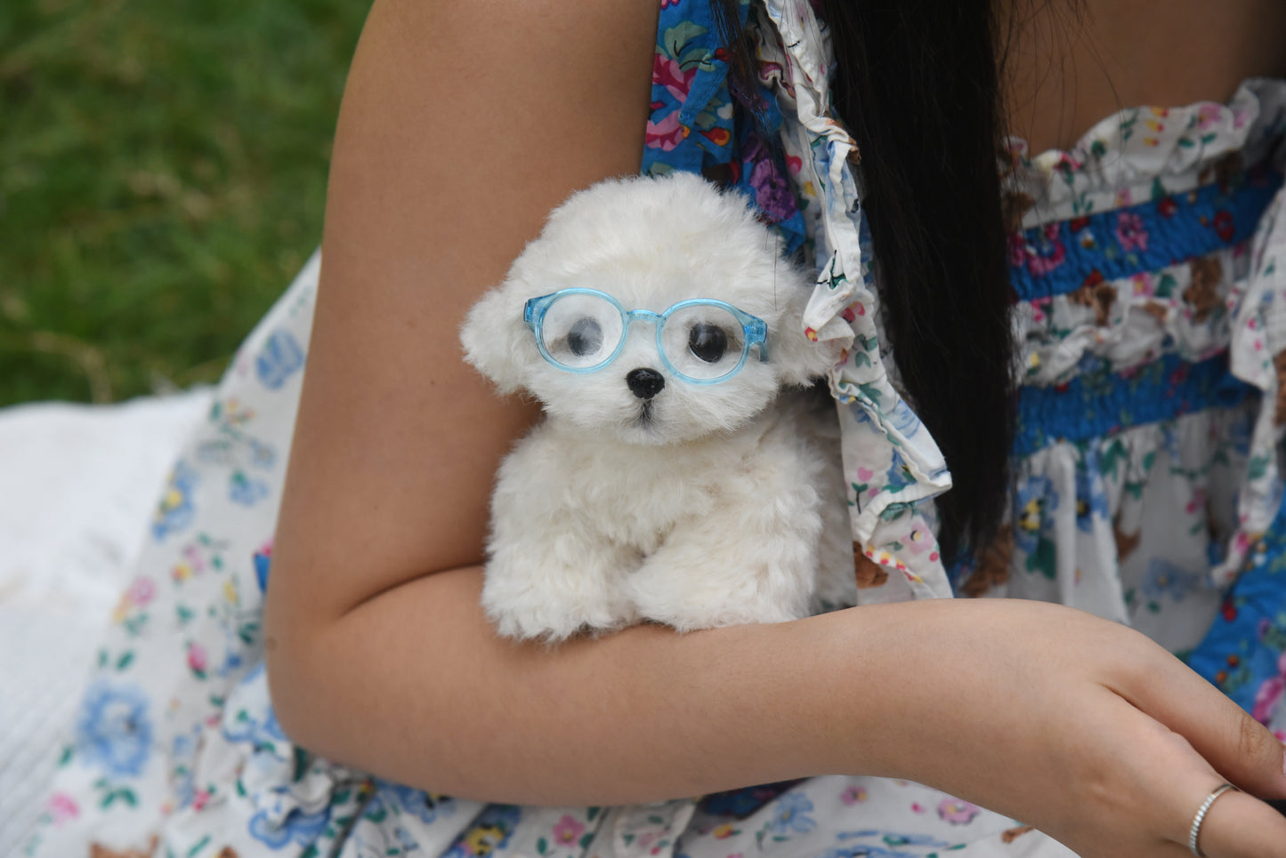 Joybly Vanilla Poodle with Movable Joints