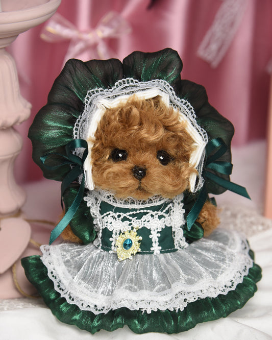 Joybly Emerald Chocolate Poodle