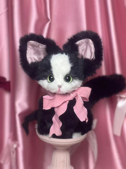 The Whisper Tuxedo cat